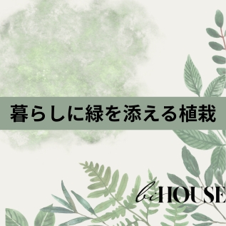 暮らしに緑を添える植栽のすすめ