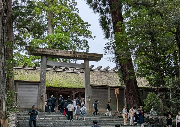 伊勢神宮の美しいヒノキ