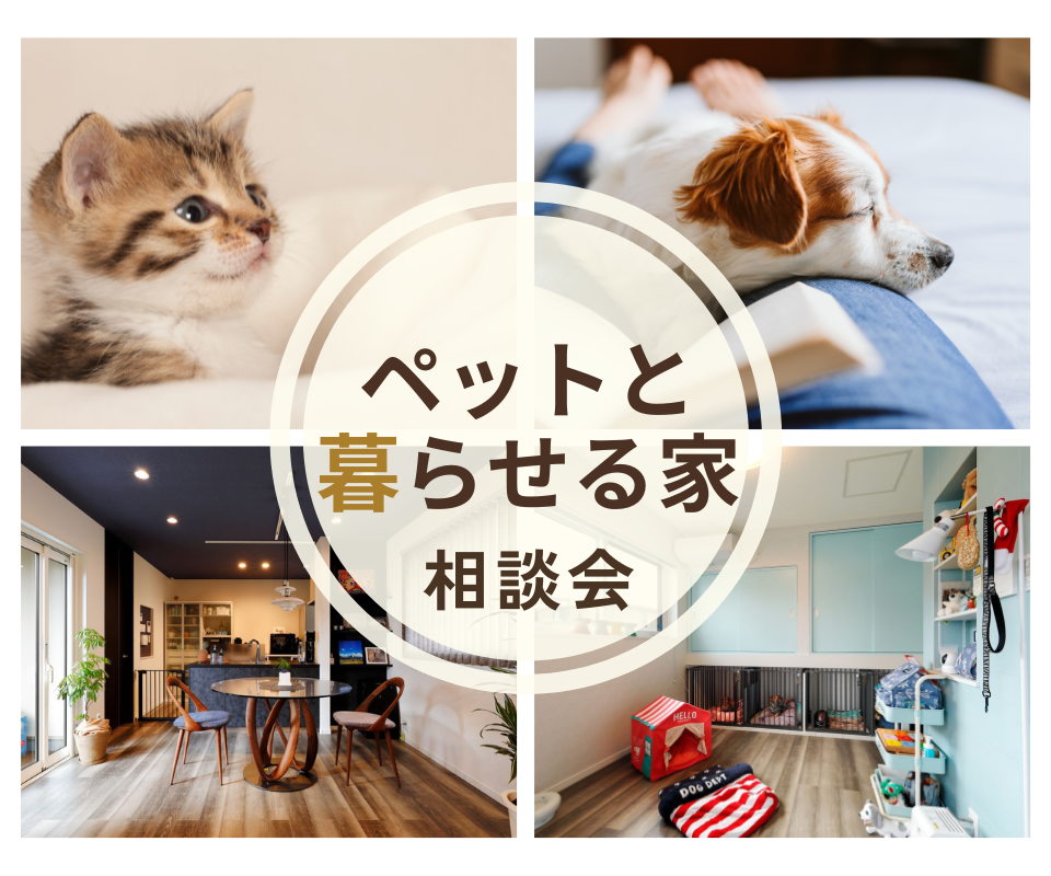 ペットと暮らせる家　愛犬・愛猫の為の注文住宅 写真
